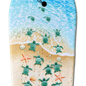 EPS-41A turtles